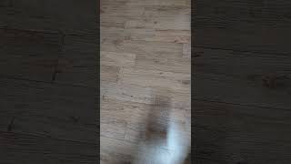 일반.주식.쳐물렸을때.대처법.노가다.뛰러.당장.나가시라.유투브.발주남.말씀