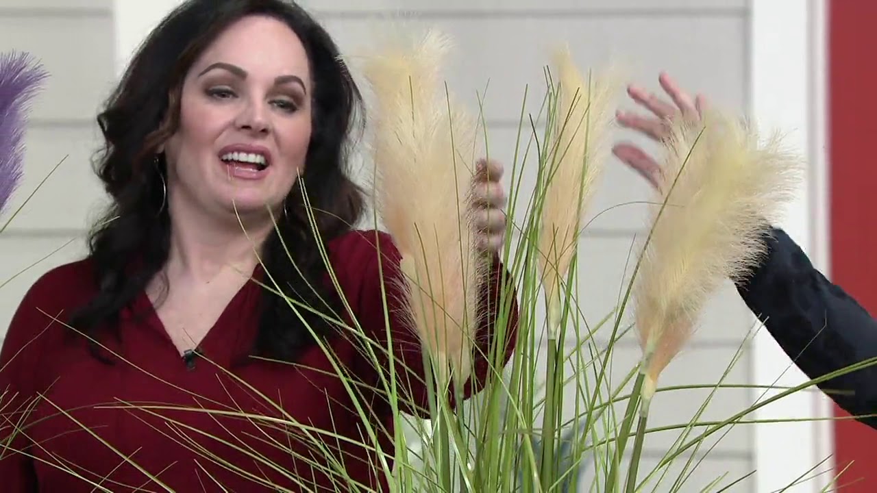 55" Tall Indoor/Outdoor Artificial Pampas Grass in Growers Pot on QVC