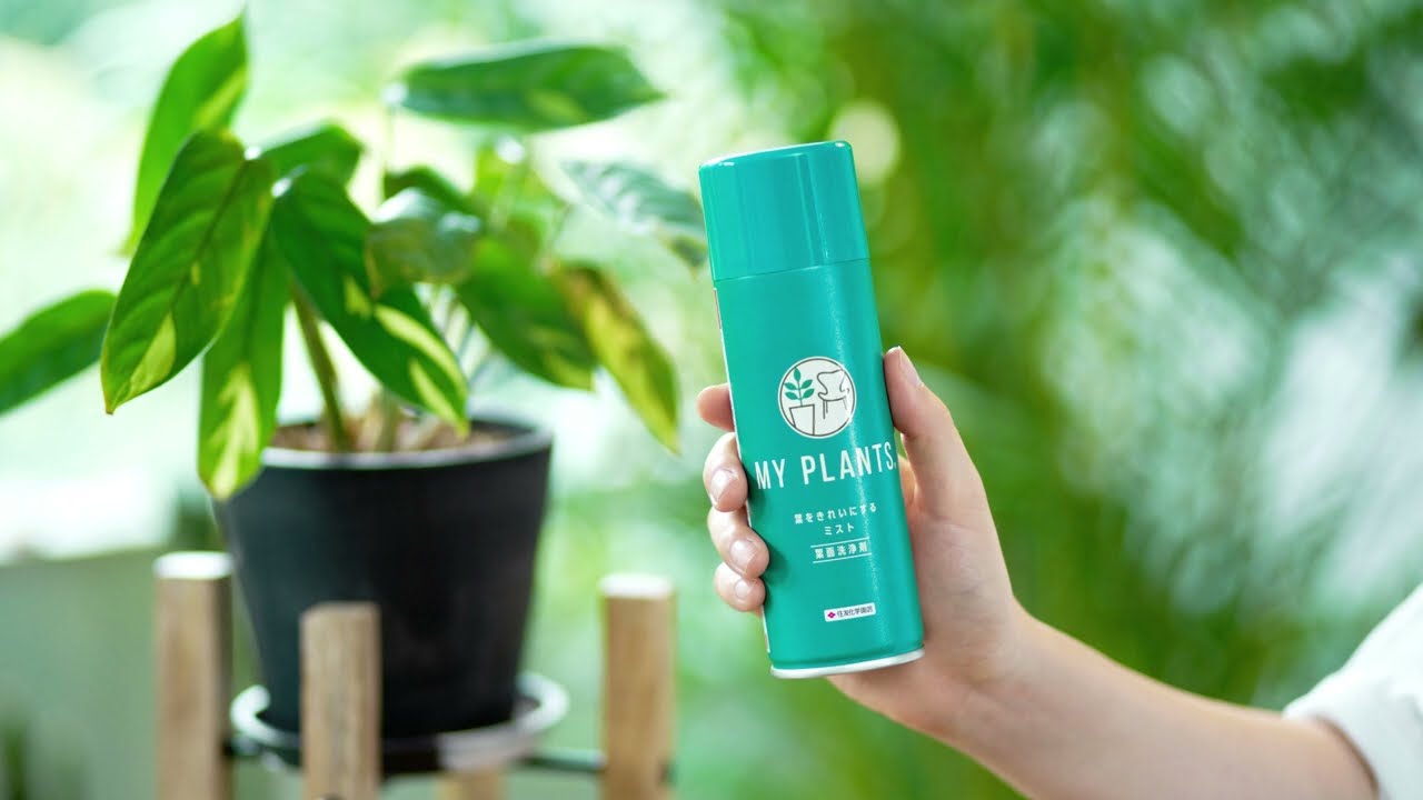MY PLANTS 葉をきれいにするミスト 葉面洗浄剤 スプレー 220ml KINCHO園芸