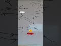 Electric Charge Explained in 60 Seconds ⚡ | Conservation, Quantization & Core Rules