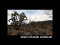 Joshua trees in the autumn breeze