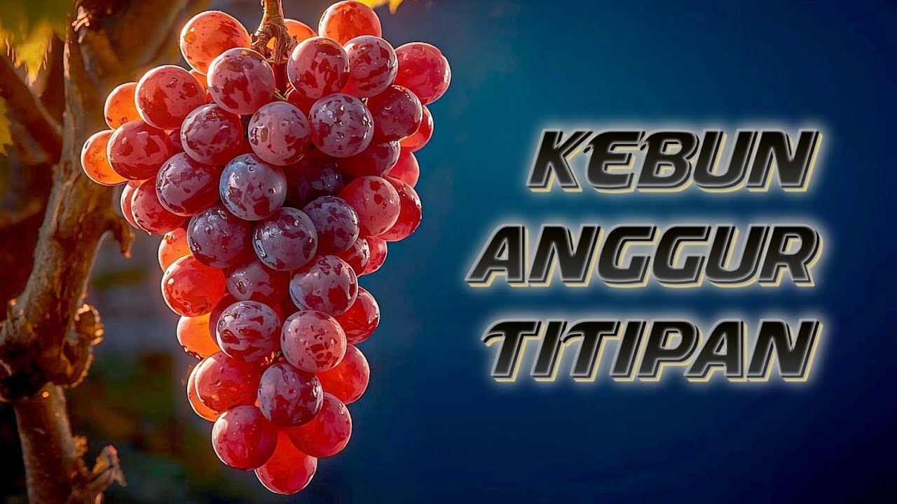 Jejak Sabda ✝️ 6 Maret 2026 | Lahan yang Dititipkan 😇🕊️🌿🌈 #renunganharian #refleksiiman