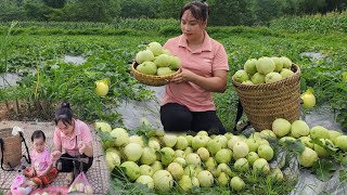 single mother and the unexpected things that are about to happen:picking melons, going to the market