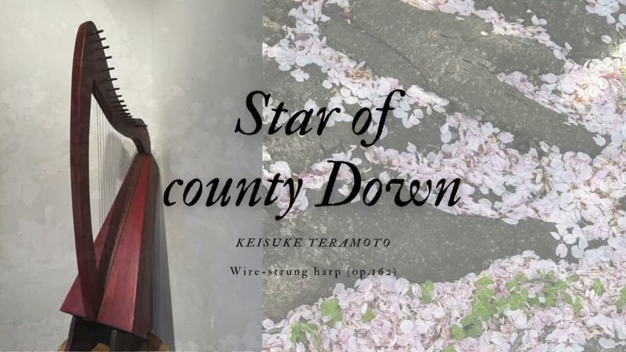 Star of County Down, KT. 61「ダウン州の星」22弦アガチス/ファルカタ