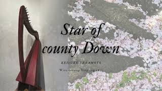 Star of County Down, KT. 61「ダウン州の星」22弦アガチス/ファルカタ