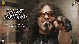 Sangre Avandaro - En Vivo Desde La Ex Hacienda Acolman