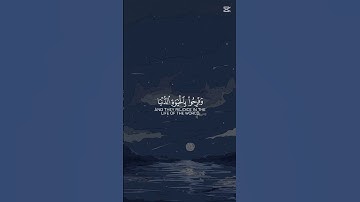 أحترم القران الكريم دقيقه فقط وأكتب #يارب ❤❤❤❤❤❤❤❤❤