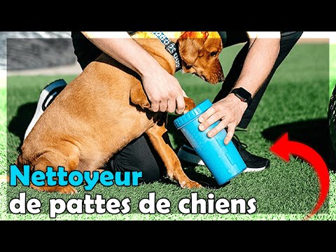 Le Meilleur Nettoyeur de Pattes de Chiens ! 