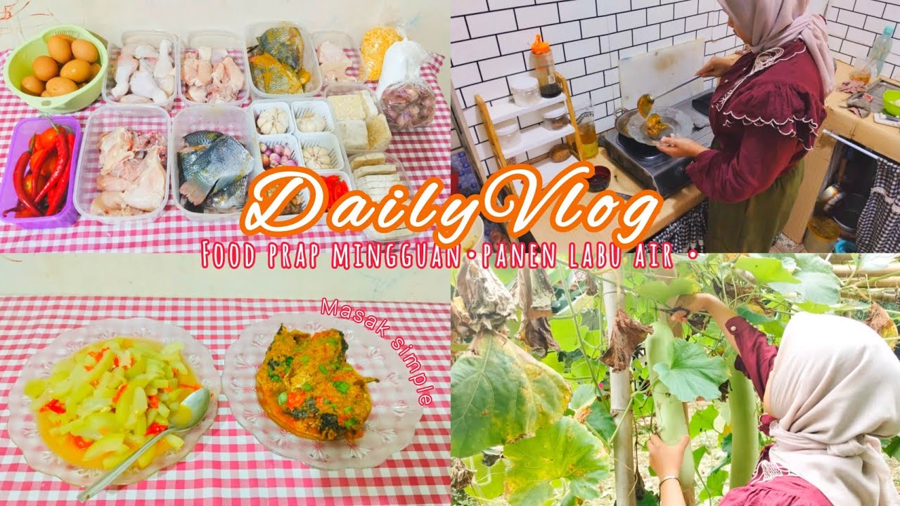 Food preparation 250 ribu•masak simple•panen labu air hasil tanam sendiri•vlog irt