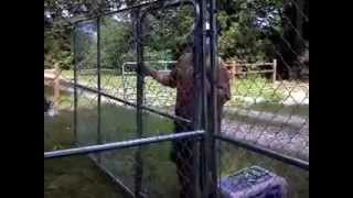 Easy to install T S C Farm supply kennel mp4