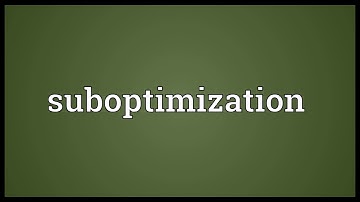 Suboptimization Meaning