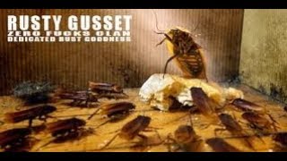 RIP Rusty Gusset