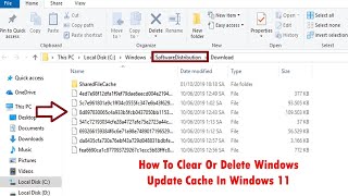 how to clear or delete windows update cache in windows 11