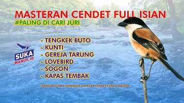 MASTERAN CENDET TERBAIK PALING DICARI JURI FULL ISIAN ll MASTERAN CENDET TROTOL VIRAL SUARA JERNIH