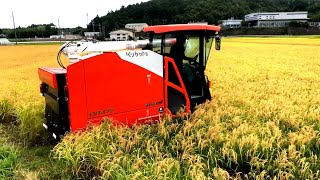 Kubota combine harvester DR472 クボタの4条72馬力コンバインで刈り取りSTAR🏃‍♂️