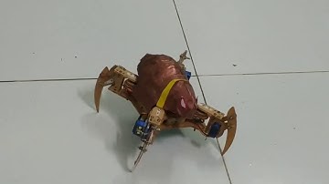 Robot Nhện - Spider Robot can dance, sing, do excercise and walk