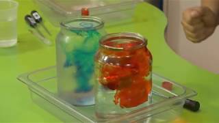 Water Temperature & Density Experiment | At Home Science Experiment | Scitech WA