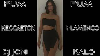 Reggaeton Flamenco Pum Pum Remix Dj Joni Kalo