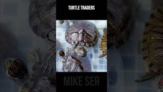 Turtle Traders Made $175,000,000 #shorts #shortsvideo #trader