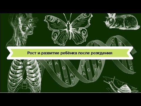 Биология 8 класс $57 Рост и развитие ребёнка после рождения