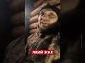 🤬Відео ПРЯМО З НУЛЯ. Серебрянський ліс, Луганщина #shorts