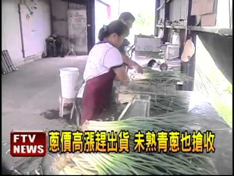 菜價創新高 青蔥一公斤220元－民視新聞