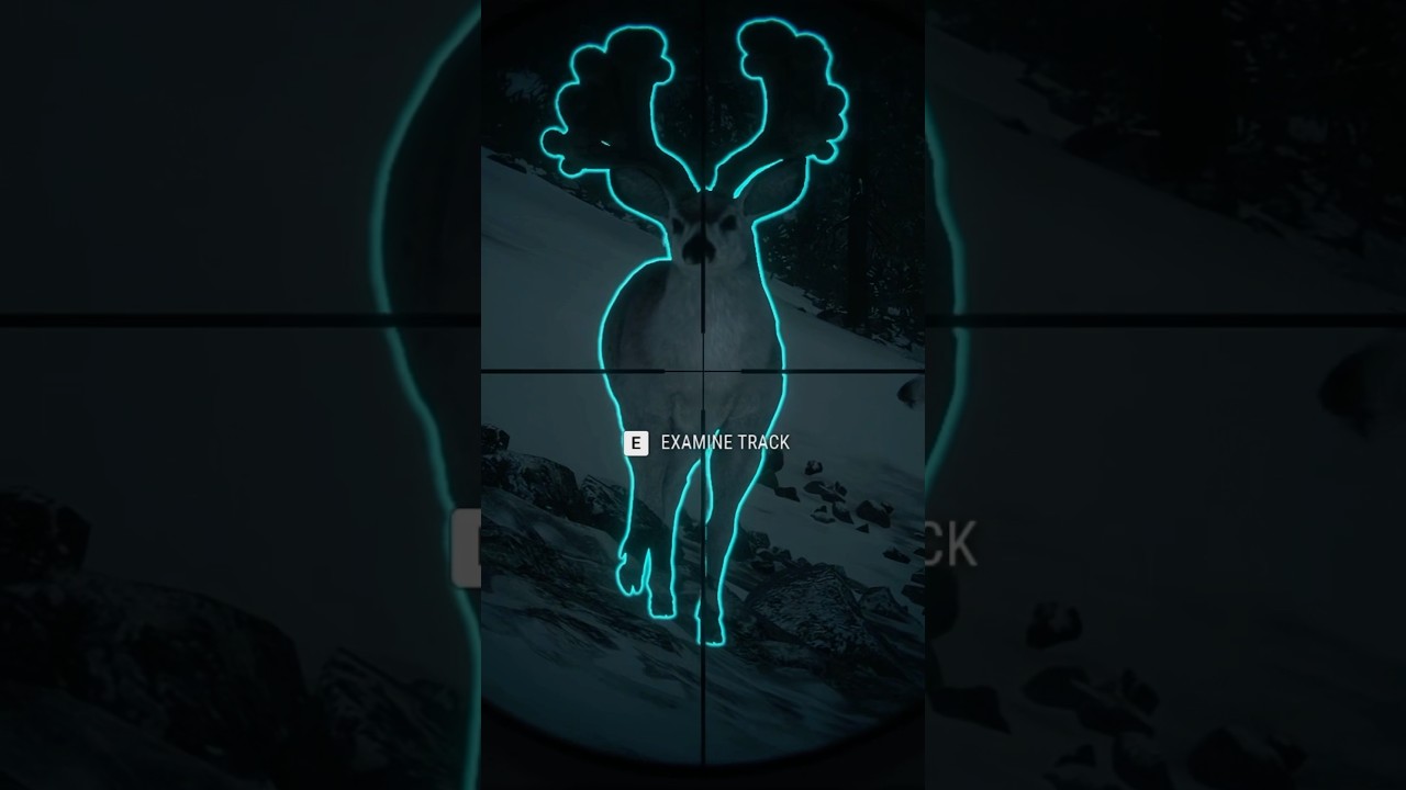 12 GA Slugs vs GREAT ONE Mulie! 