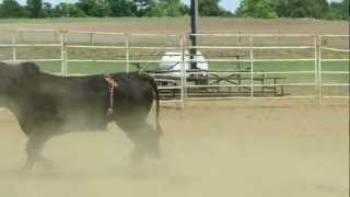 SCHSRA ~ Iva, SC Rodeo ~ Bull Riding ~ Tyler Willis