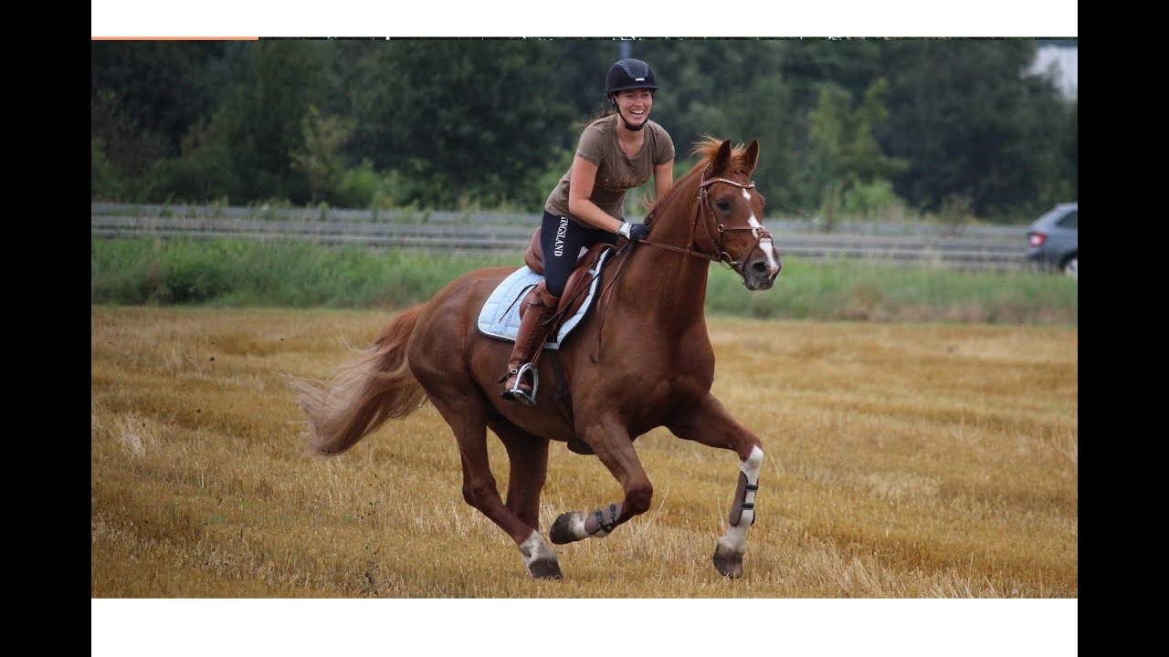 Still falling for you 🌏 Drohnen-Aufnahmen | Drone Shots (DJI Phantom 3)