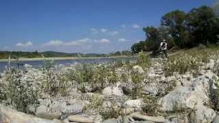 Sortie Botanique En Provence Au Pont De Mirabeau Juillet