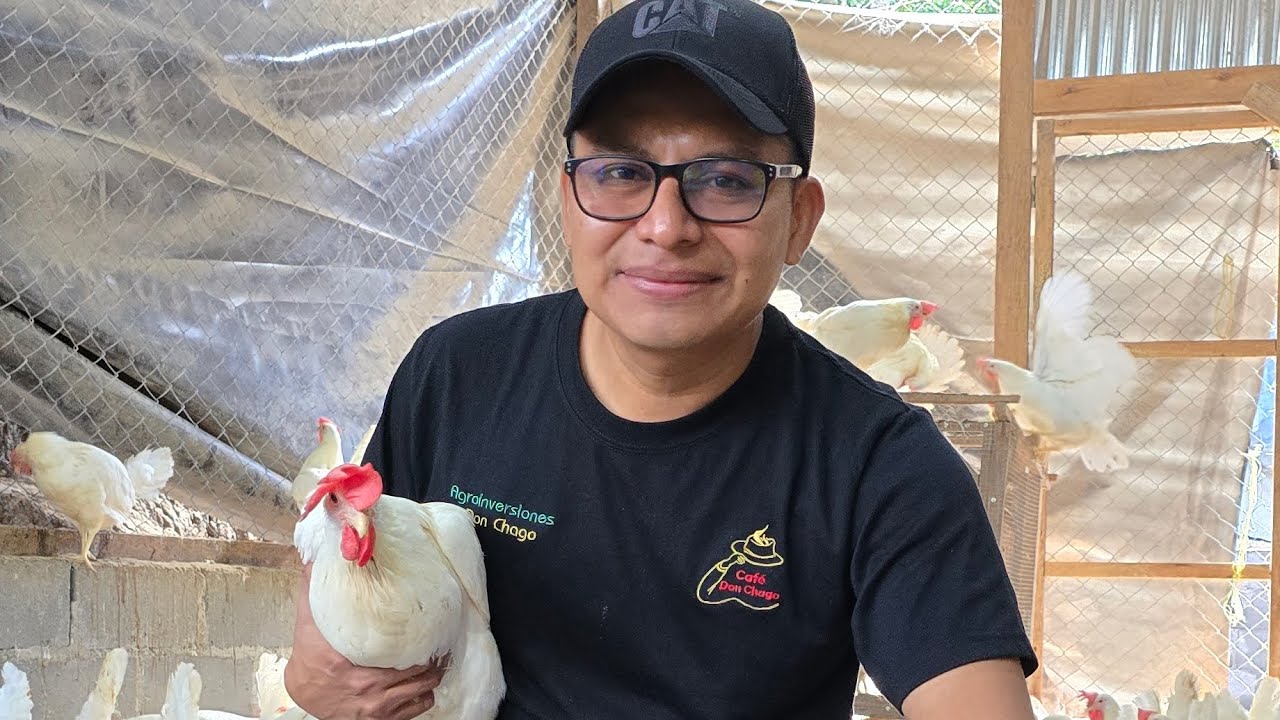 RECOLECCIÓN Y VENTA DE HUEVOS