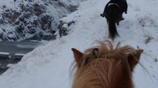 Riding horse for first time and on edge of Reykafoss waterfall in North Iceland