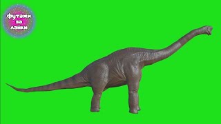 Брпхиозавр На Зеленом Фоне Футаж
