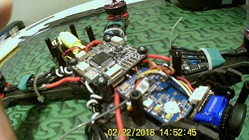 Puda Stinger 240 clone build Born to Be the Best Purple Haze