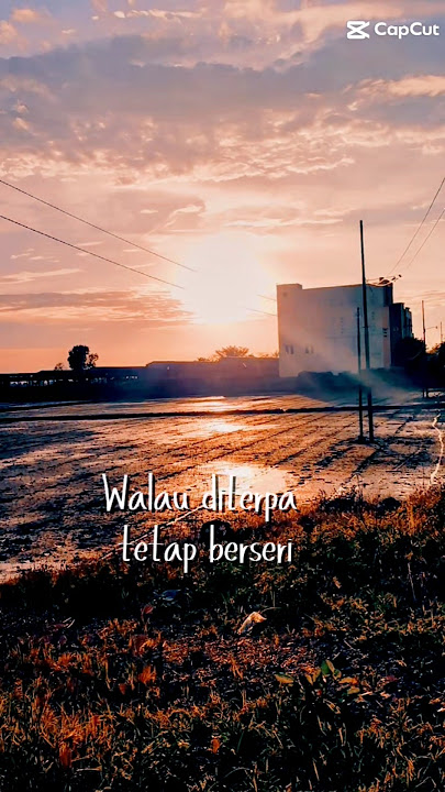 MENTARI SENJA DESAKU#videoshorts #sunset #nature #editcapcut#alamindonesia
