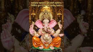 गणपती बाप्पाचे दिव्य दर्शन 🙏 | सकारात्मक ऊर्जेचा अनुभव घ्या ✨Divine Blessings of Lord Ganesha 🙏
