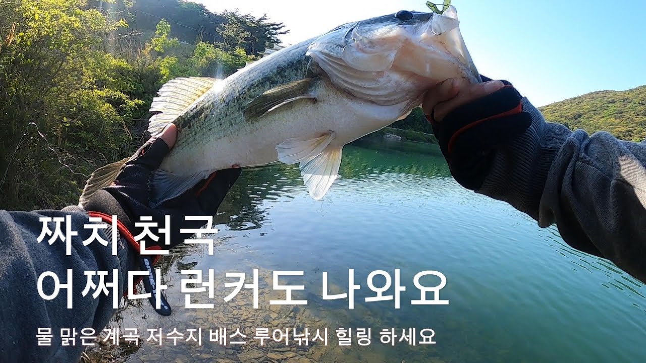 물 맑은 계곡 저수지 짜치 천국 어쩌다 런커도 나와요 배스 루어낚시 bass fishing