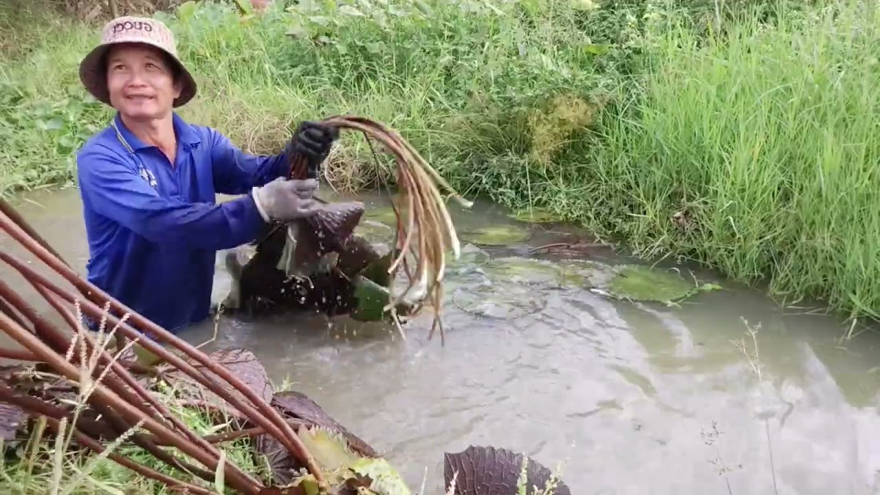 Mới quây bị rơi xuống mương nước luôn rồi 