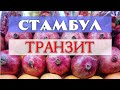 Летите транзитом через Стамбул - выходите в город!