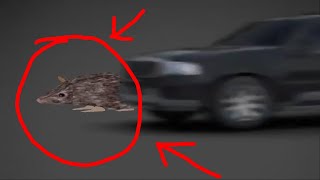 spinning rat gets hit by car (emotional)