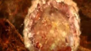 Lendelie R. Sandoval Bsp2