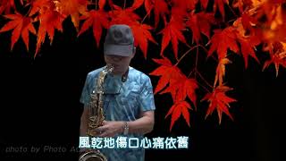 多年以後 (姜育恆 )~雨季~薩克斯風演奏~