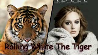 Survivor Vs Adele - Rolling with the Tiger