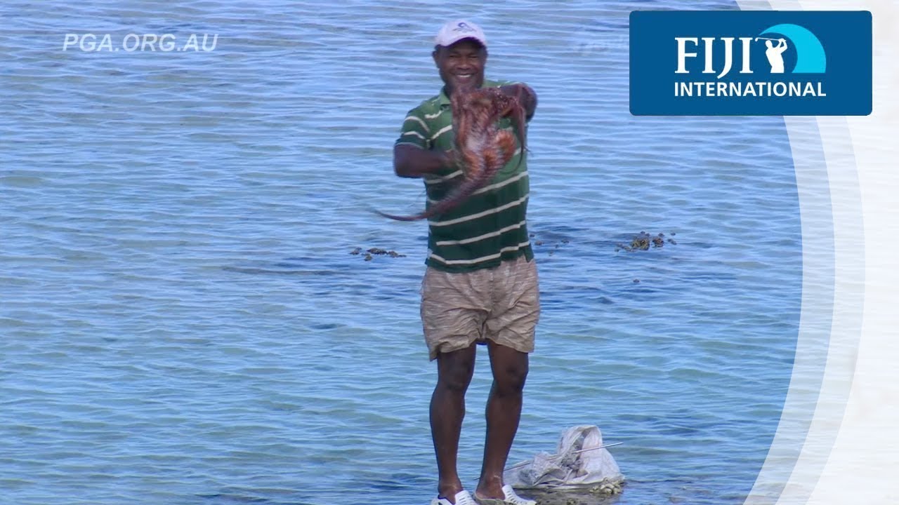 Fijian battles a wild Octopus - 2017 Fiji International