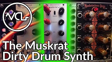 Muskrat Drum Synth from Moffenzeef Modular