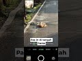 Ini cara aku foto pakai HP tanpa masuk mode Pro (AI Cam) 😎
