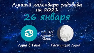 Календарь огородника на 26 января 2021 года. Лунный посевной календарь садовода | Флористикс Инфо