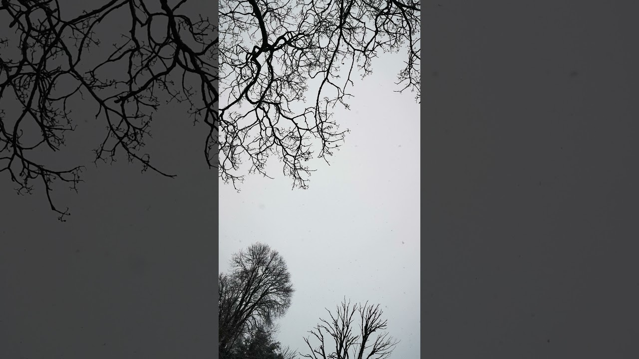 Extreme Snowfall In Murree 