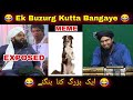Buzurg kutta bangaye kahani shareef aminul qadri exposed  engineer muhammad ali mirza funny 