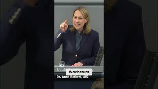 Deutschlands Wirtschaftskrise: Schuld und Folgen Ihrer Politik #shorts